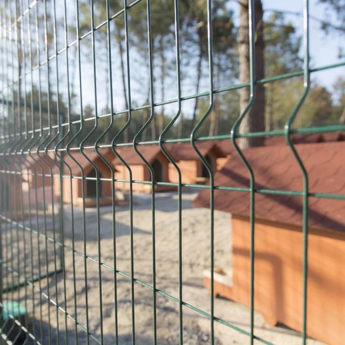 Easy Installation Hot Dipped Galvanized 3D Curved High Quality Wire Mesh Fence with Triangle Bending