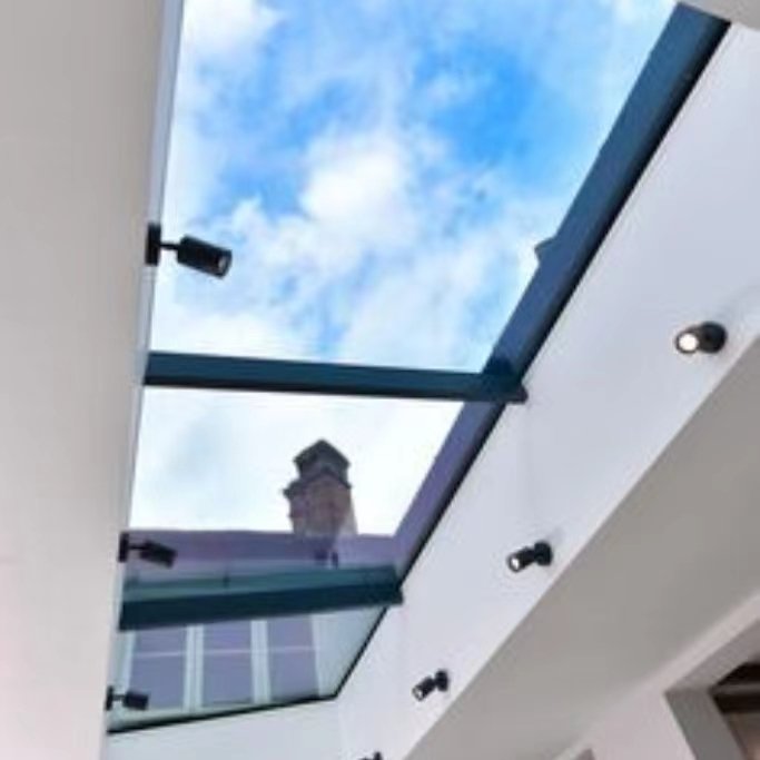 PanSteel Skylight Factory Direct Customized Design Steel Roof Window Bathroom Skylight Window