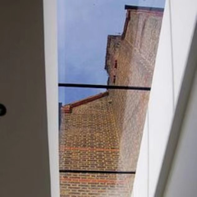 PanSteel Skylight Factory Direct Customized Design Steel Roof Window Bathroom Skylight Window