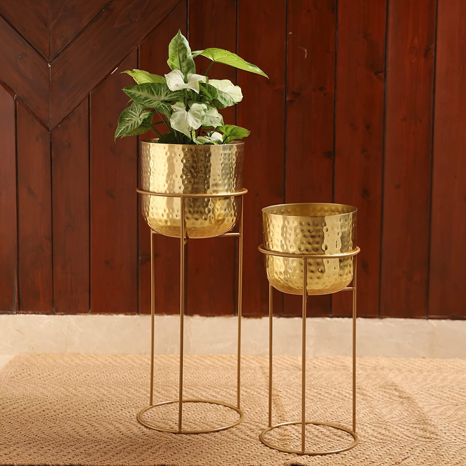 Decorative Flower Pot Black Powder Coated Finish Metal Flower Pot Set of (3)