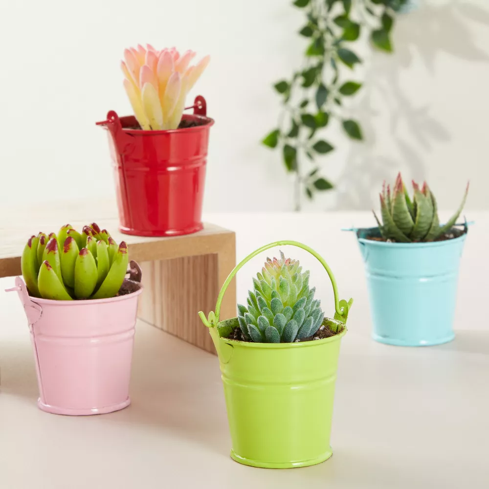 Set Of 6 Metal Buckets With Handle Mini Small Iron Flower Pots Plant Basket Metallic Pails For Party