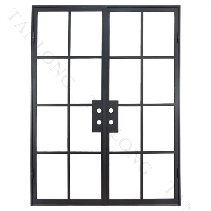 Modern French Wrought Iron Exterior Front Doors Double Glass Entry For Houses