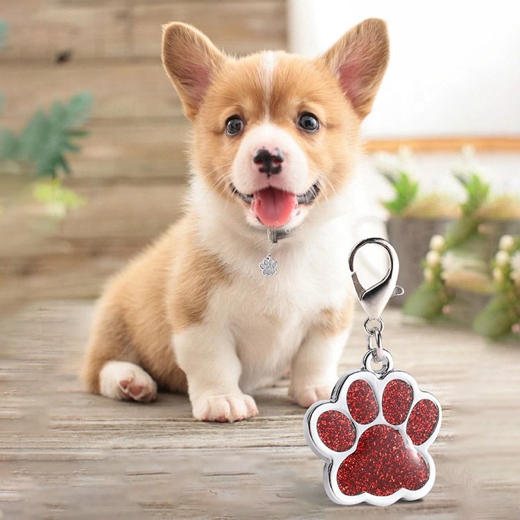 Custom Personalized High Quality Dog ID Tag Engraving Name Pedant Metal Zinc Alloy Dogs Tag