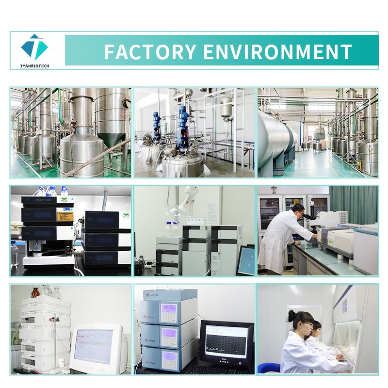 Factory Supply Top quality pure Indigo Extract Indigo Powder Indigofera Tinctoria Powder