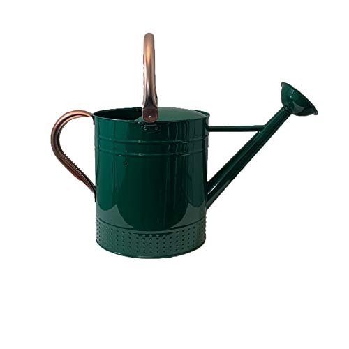 Home Garden Daily Usage Pink Enamel Finished Water Can Glorious Design Iron Metal Unique Design Custom Shape Watering Can