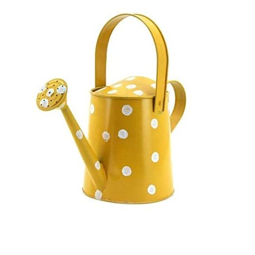 Home Garden Daily Usage Pink Enamel Finished Water Can Glorious Design Iron Metal Unique Design Custom Shape Watering Can