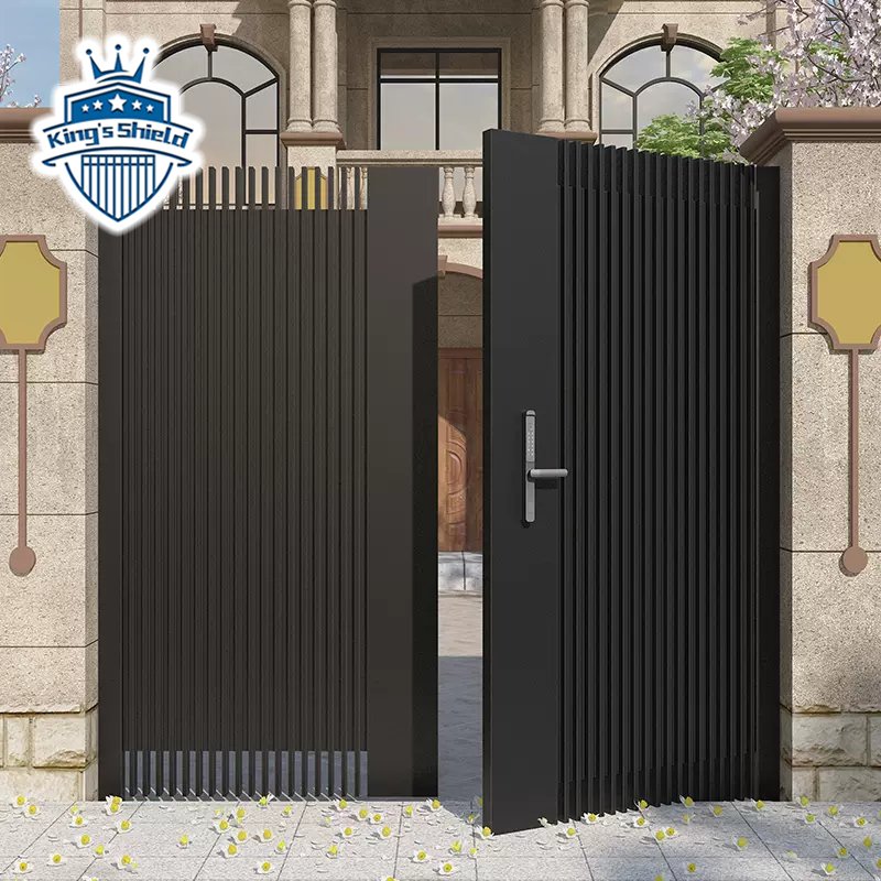 Modern style driveway village house gates for houses main gate design