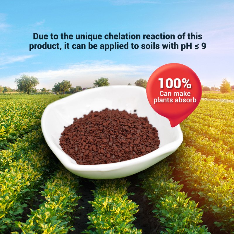 High Quality Organic Iron Chelate Fertilizer EDDHA Fe 6% Powder and Granular for Agriculture Use