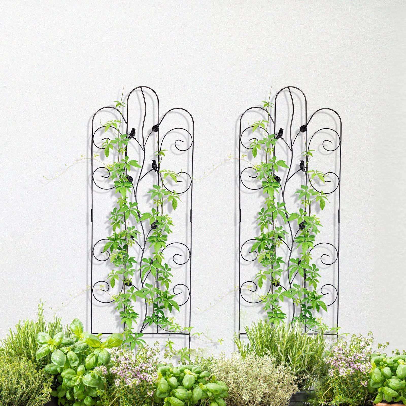 Garden Trellis Beautiful Trellis Design Climbing Plants Sturdy Plant Trellis Net Versatile Metal Iron CLASSIC Xiamen 180pcs