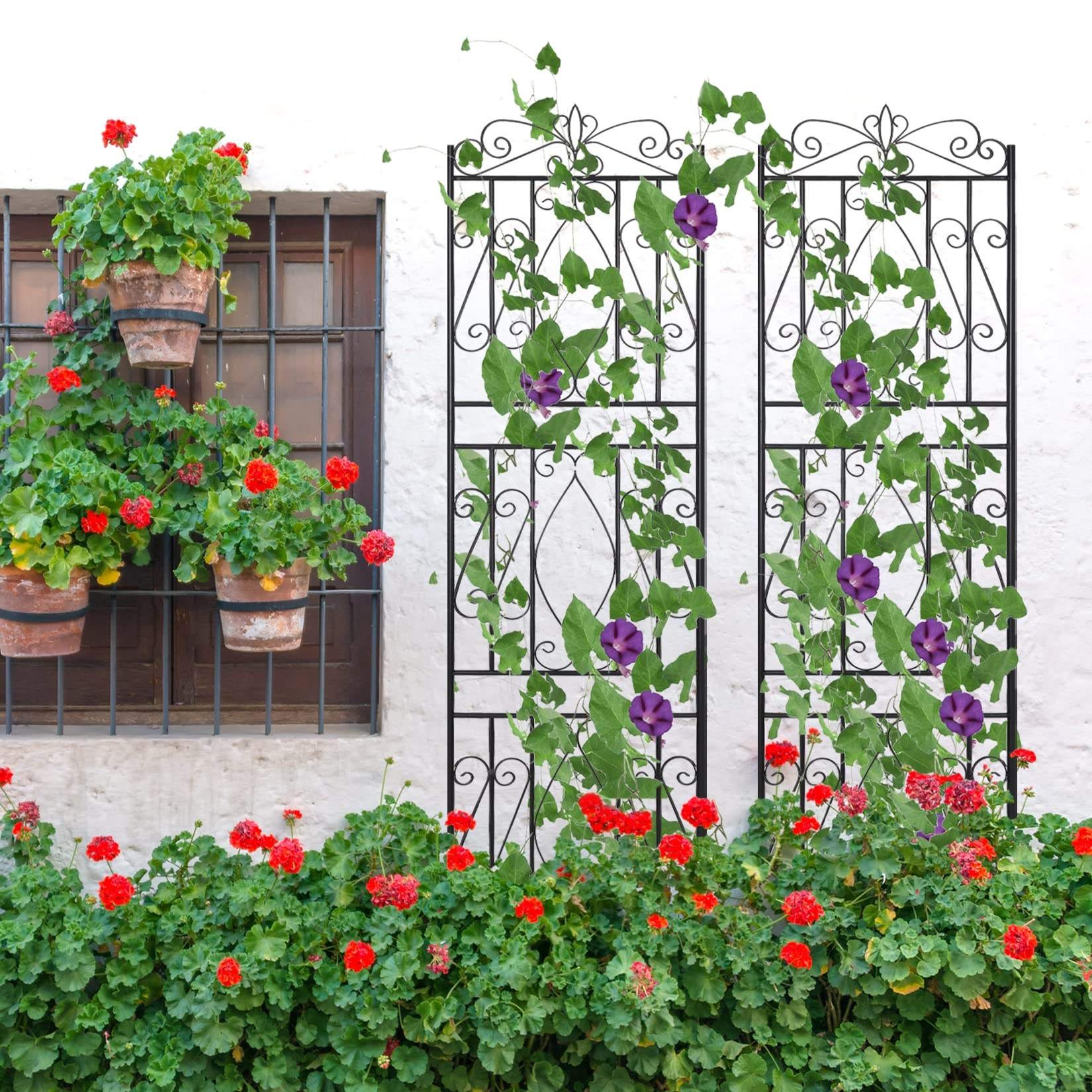 Garden Trellis Beautiful Trellis Design Climbing Plants Sturdy Plant Trellis Net Versatile Metal Iron CLASSIC Xiamen 180pcs