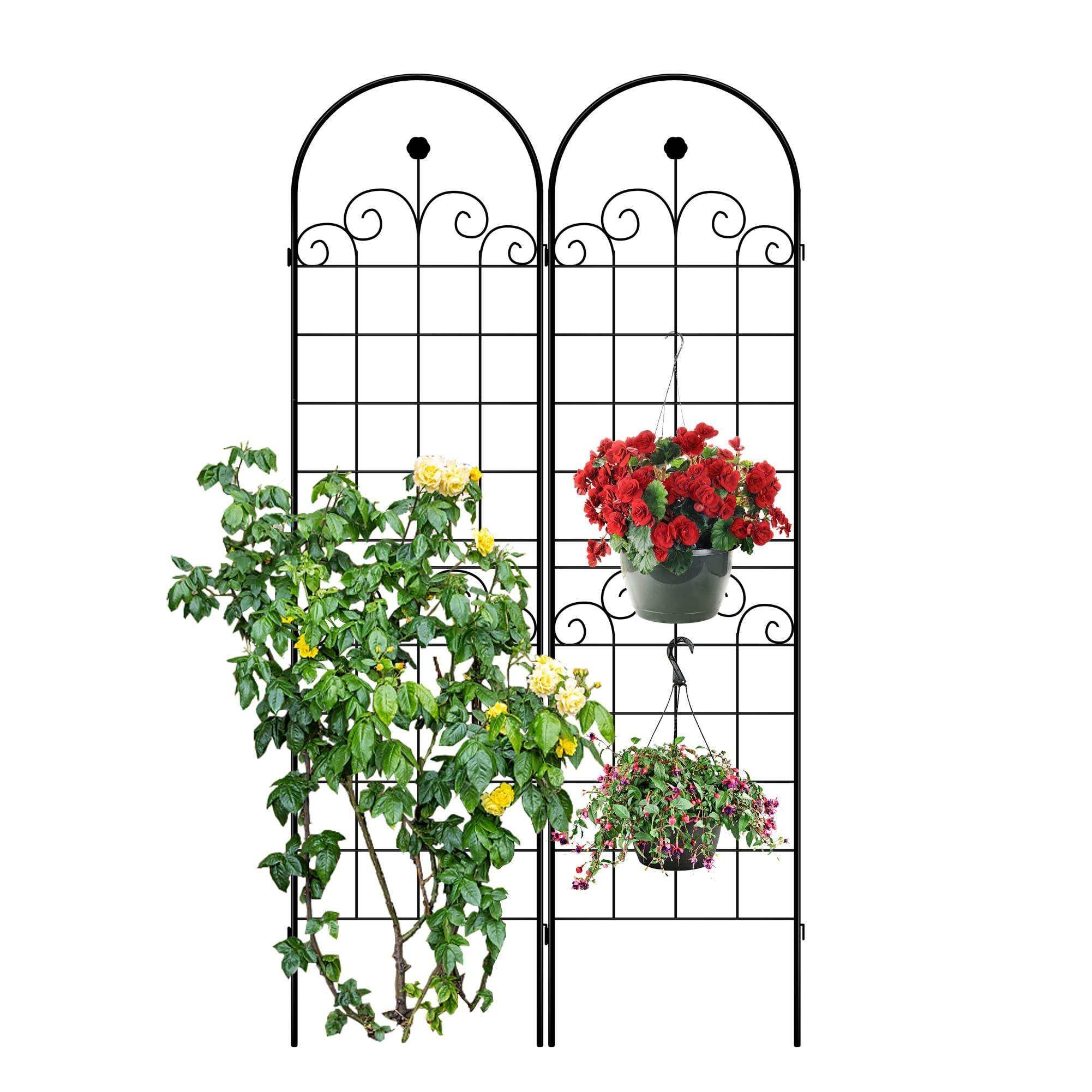 Garden Trellis Beautiful Trellis Design Climbing Plants Sturdy Plant Trellis Net Versatile Metal Iron CLASSIC Xiamen 180pcs