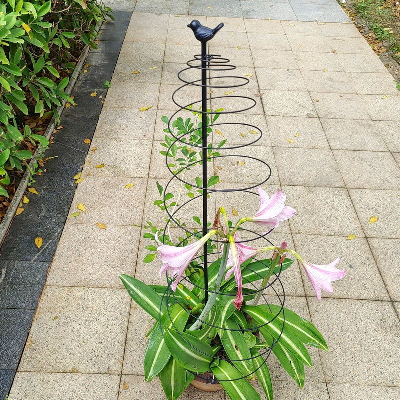 yard art obelisk arch pot metal garden Trellis For Climbing Plants