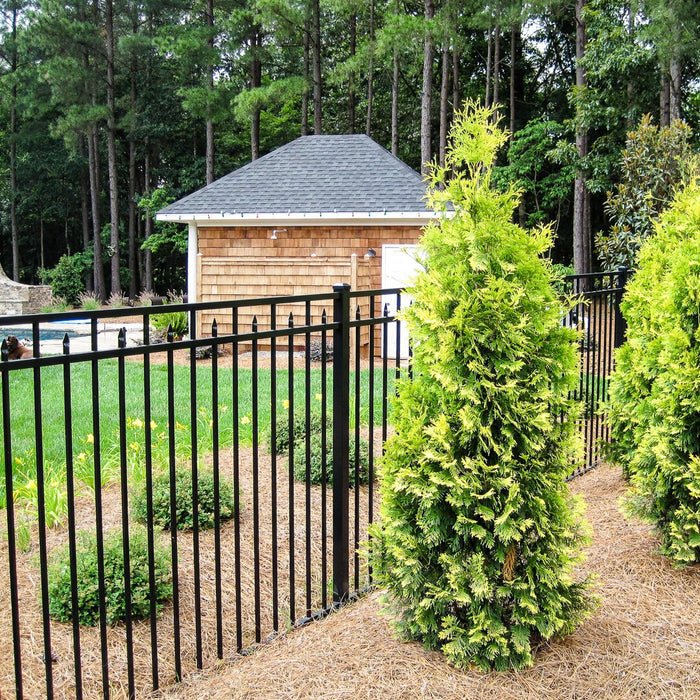 Hot Sale Palisade Fence Panel Anti Rust Custom Galvanized Steel Metal Cast Iron Powder Coating Garden Fence Designs For House