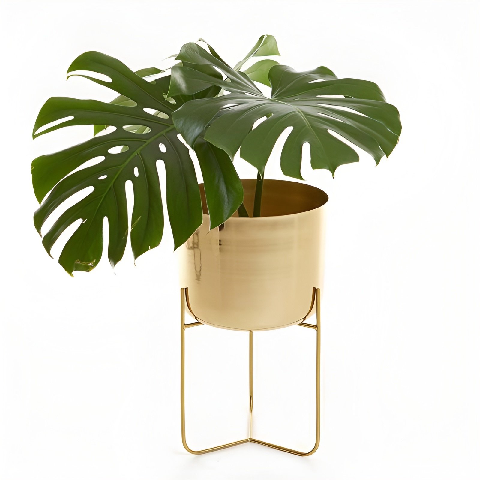 Handcrafted Golden Color Metal Iron Planter with Stand - Powder Coated Indoor Decor from Noorims Akbar Handicrafts