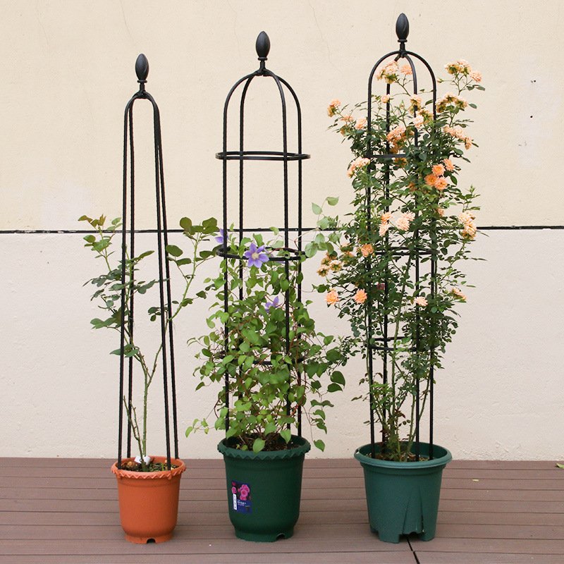 Durable Metal Trellis Obelisk for Climbing Plants Modern Garden Plant Support Stakes with Coated Iron Fence Gate Farm Fence Use