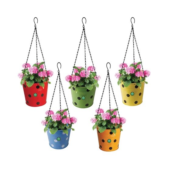 Metal Wire Hanging Basket For Garden Decoration Customized Size Flower Hanging Basket With Black Powder Coating For Home