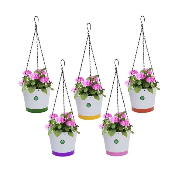 Metal Wire Hanging Basket For Garden Decoration Customized Size Flower Hanging Basket With Black Powder Coating For Home