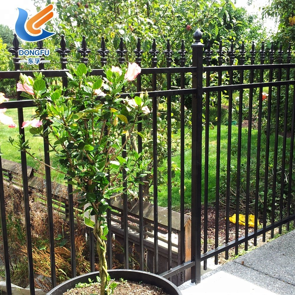 beautiful iron gate and fence best price