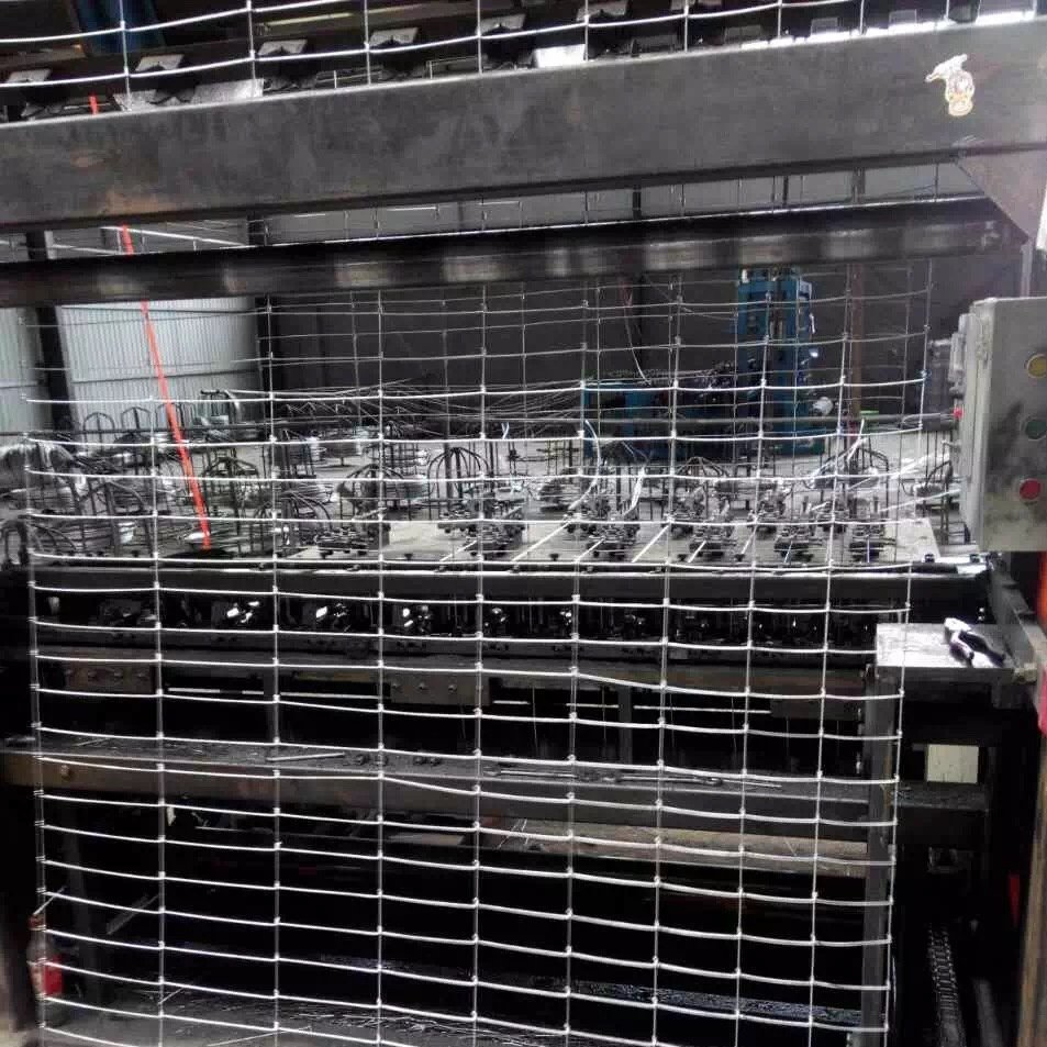 Dingzhou Five-Star Metals 8 gauge 2x2 4ft chicken pens and dipped galvanized welded wire mesh cagefor fence panel price