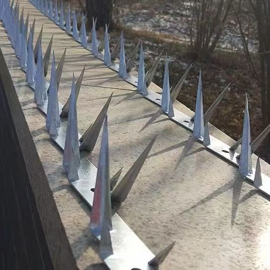 Galvanized and PVC Coated Anti-Climbing Fence Spikes Razor Wire made of Steel and Iron for Construction & Protection