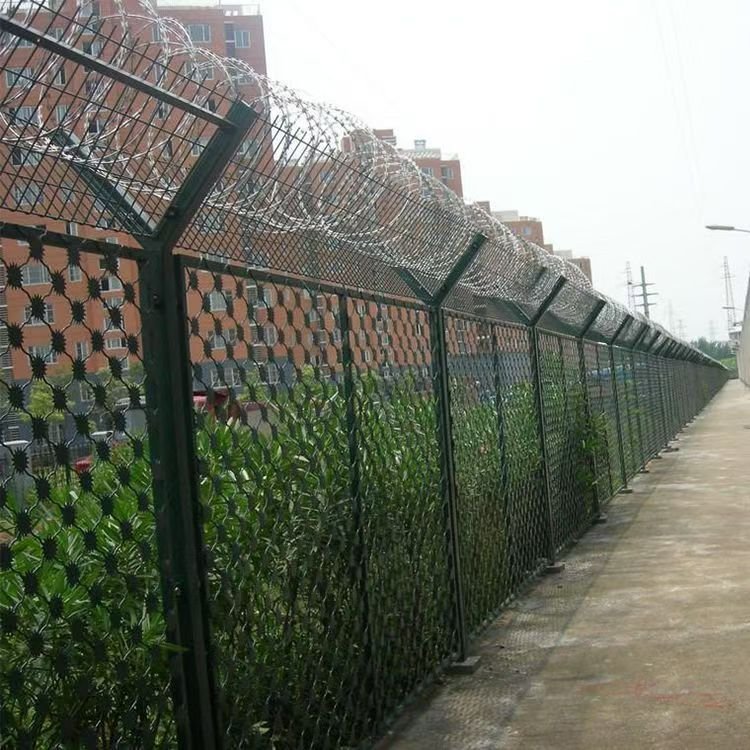 Galvanized and PVC Coated Anti-Climbing Fence Spikes Razor Wire made of Steel and Iron for Construction & Protection