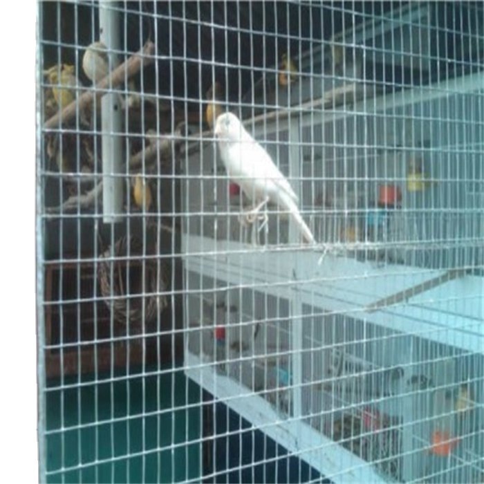 4ft 8ft PVC Coated Welded Mesh Wire Galvanized Welded Mesh Outdoor Fence Pet Cage Chicken Cage