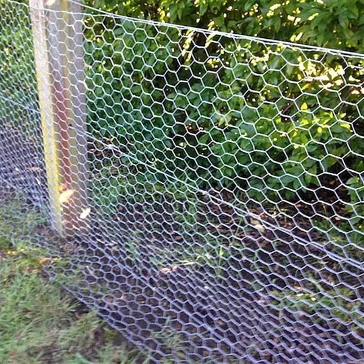 Chicken Rabbit Small Poultry Enclosure Half Inch 3Ft High hexagonal pig fence size