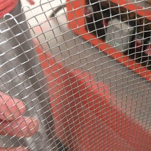 100%factory Stainless Steel Wire Mesh(SS304,316,316L)
