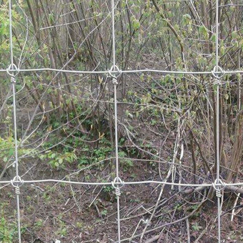 1.65M High Galvanized Fixed Knot Wire Mesh Farm Fence 8Ft Tall Farm Cattle Fence Curved Garden Wire Mesh Panel Farm Fencing