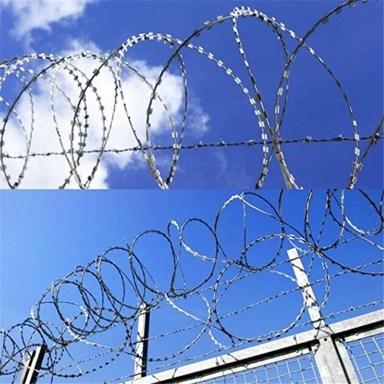 good quality corrosion resistant people love the razor barbed wire that surround their gardens for protection