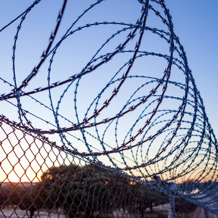good quality corrosion resistant people love the razor barbed wire that surround their gardens for protection