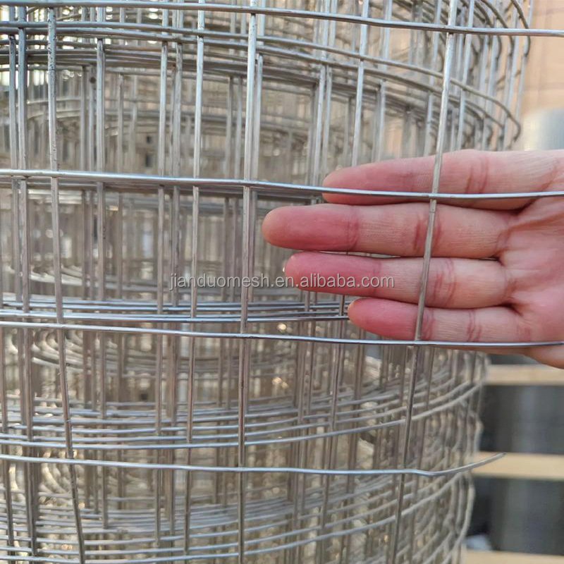 6 gauge 100mm x 50mm pvc coated green welded stainless steel wire mesh panel