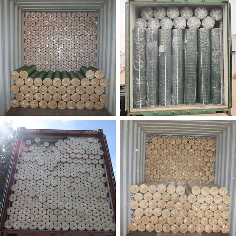 Hot Galvanized Pvc Coated Welded Wire Mesh Rolls For Fence