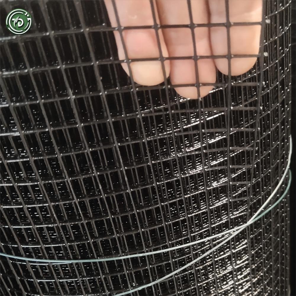High Quality Pvc Coated Welded Wire Mesh Roll Welded Iron Wire Mesh For Garden Fence