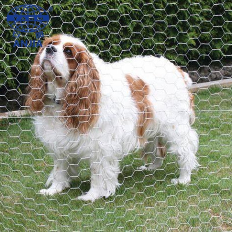 Factory Price 1/2" Hexagonal Galvanized BRC Wire Mesh Fence Net Double Twist Steel Wire Mesh Roll Woven Mesh Wire