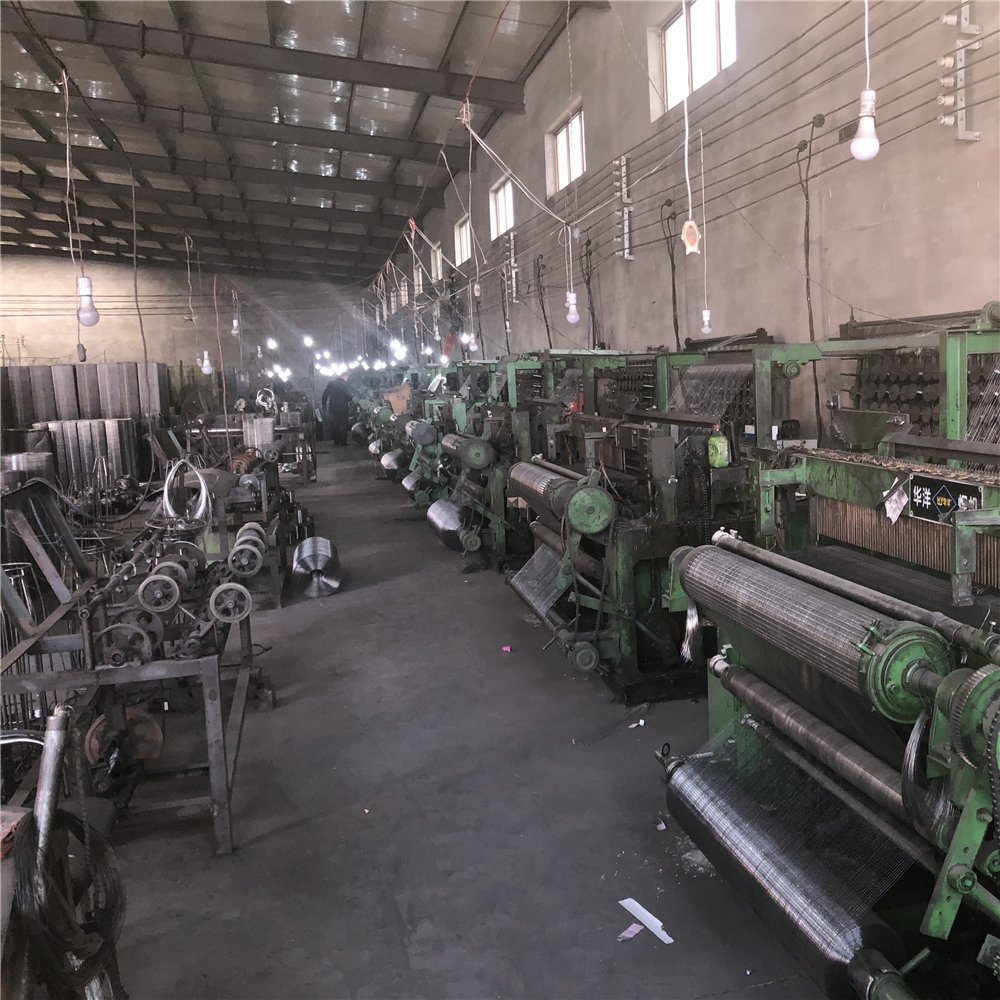 Stainless Steel welded wire mesh hot dipped electro galvanized welded wire mesh pvc coated welded wire mesh