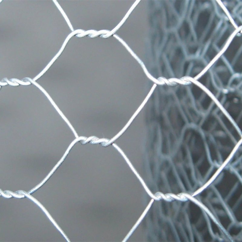Factory Price Poultry Farm Fence Steel Wire mesh Fabric Hot Dipped Galvanized Hexagonal Chicken Wire Mesh