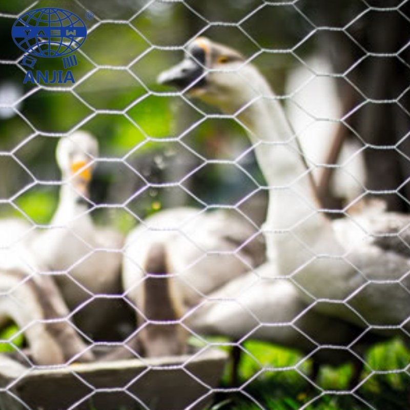 Factory Price Poultry Farm Fence Steel Wire mesh Fabric Hot Dipped Galvanized Hexagonal Chicken Wire Mesh