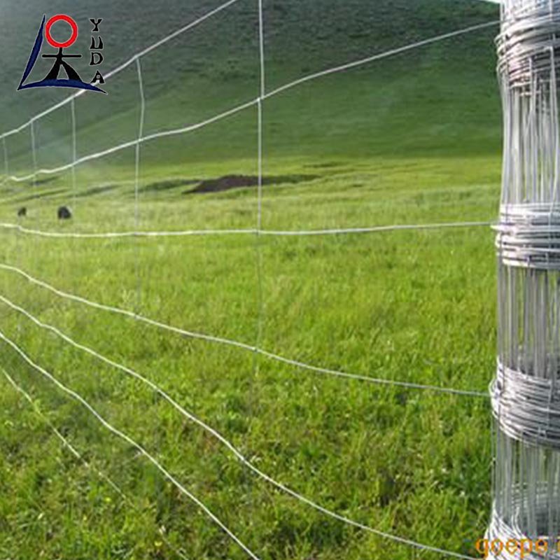 Cheap Galvanized Horse Sheep Cattle Field Fencing Livestock Wire Mesh Grassland Fence