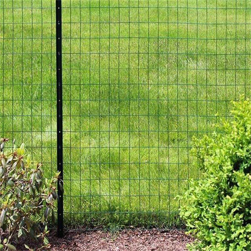 Dubai Hot sale Galvanized Wire Mesh Roll Easy to Cut and Make Straight