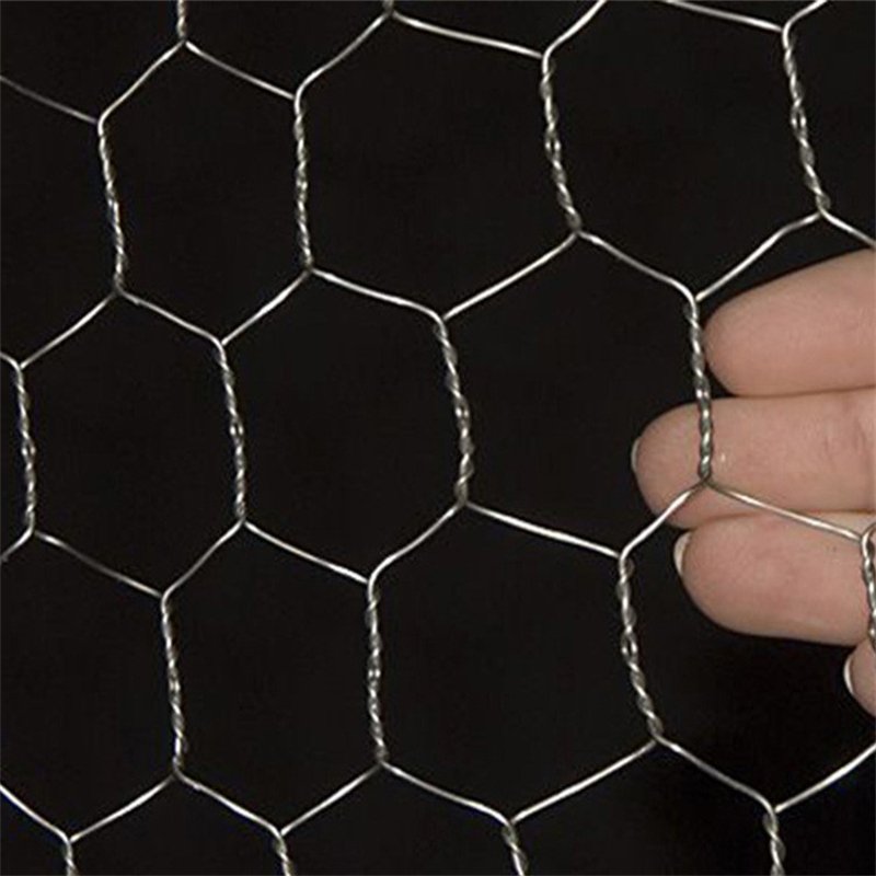 Chicken Hexagonal Wire Mesh Netting Wire Galvanized Hexagonal Fencing Wire To Protect Gardening Plant Vegetable Flower Fruits
