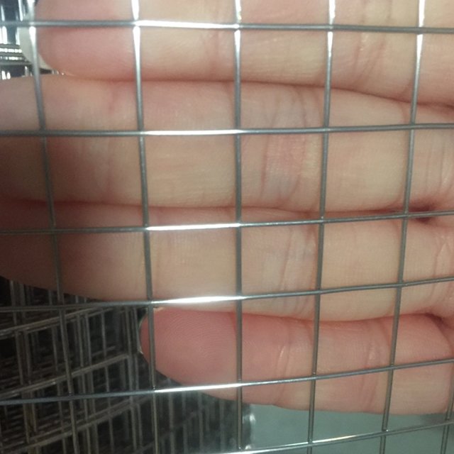 Galvanized Welded Wire Mesh China Factory Rabbit Cage Use Square Mesh Square Hole Electric Galvanized Concrete Reinforcing 1-30m