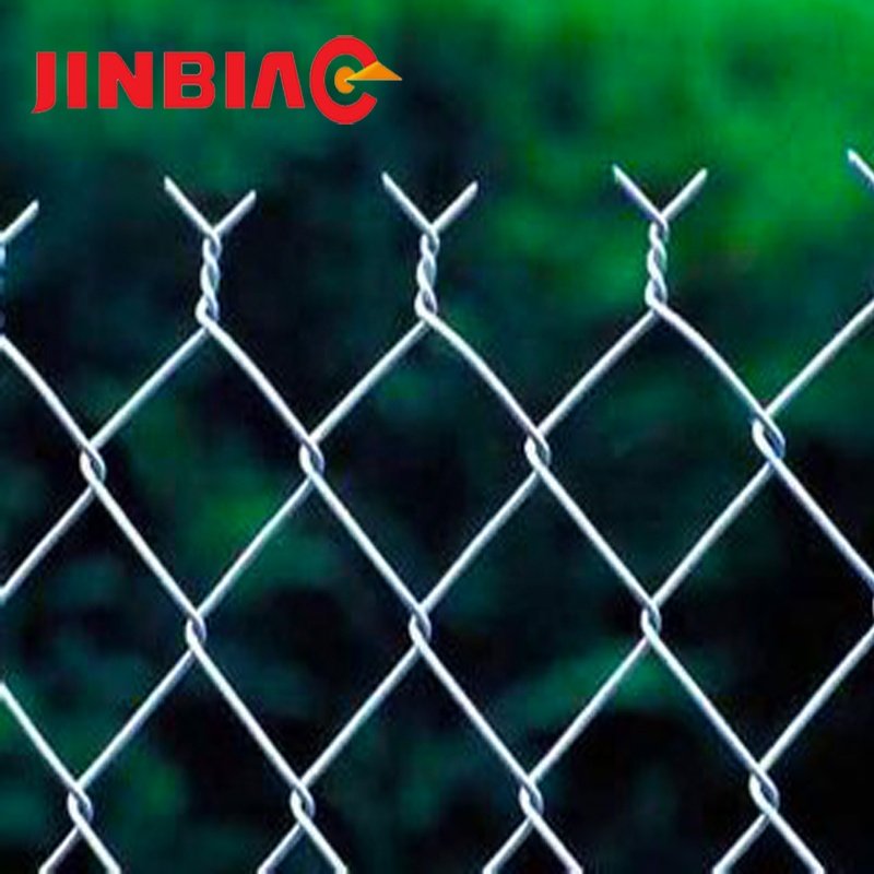 Wholesale Galvanized Steel and PVC Coated Chain Link Fence Netting for Horse Fencing