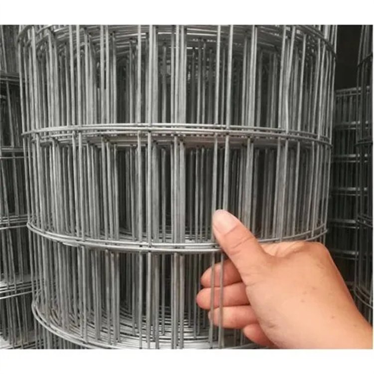 Hot Dipped 6 Gauge Galvanized stainless steel Welded Wire Mesh Fence construction welded wire mesh