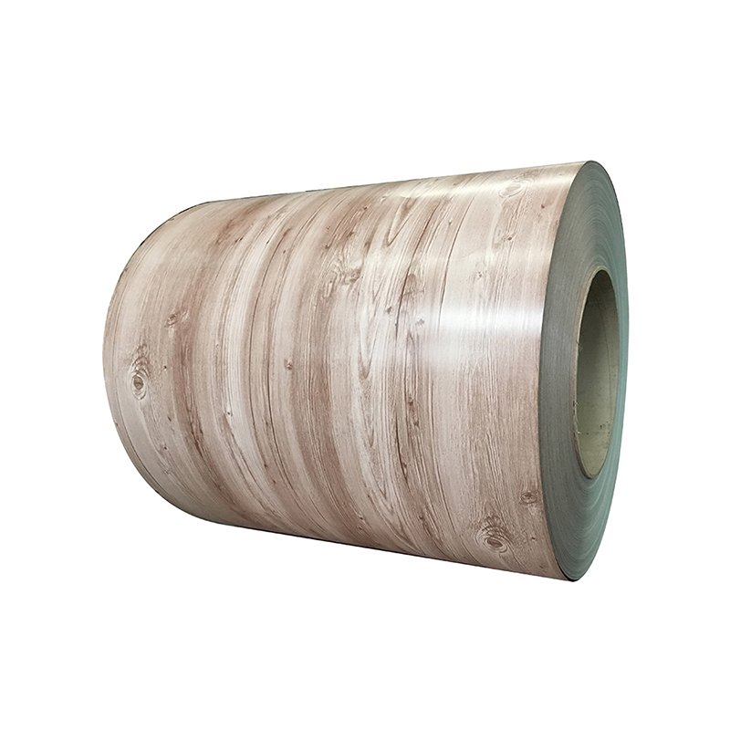 Coated Ral 9002 PPGL Ral3005 Az150 Painted Galvanized Steel Coil