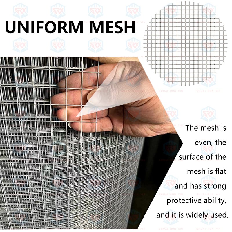 Galvanized Steel Wire Mesh Inch Square Hardware Cloth Tela De Ferro Poultry Netting-Multiple mesh sizes to choose from