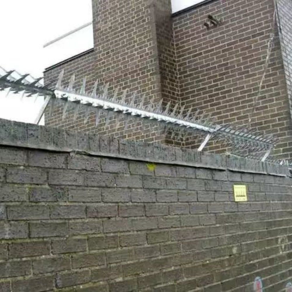 Hot Sale Anti-Climbing Security Hot Dipped Galvanized Big Size Wall Spikes For Fence