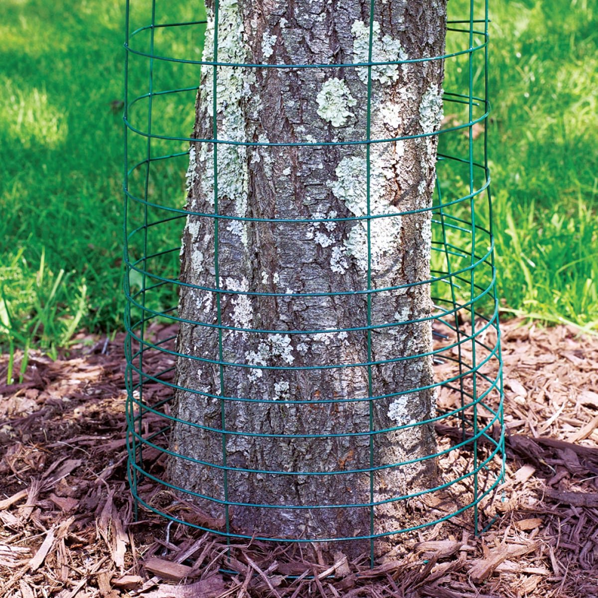Low price direct factory steel welded wire mesh