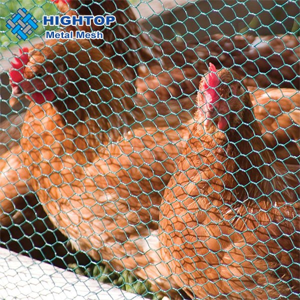 Lowest Price Stainless Steel Hexagonal Decorative Chicken Wire Mesh