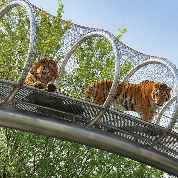 Zoo Animal Aviary 316 Stainless Steel Wire Rope Mesh Net